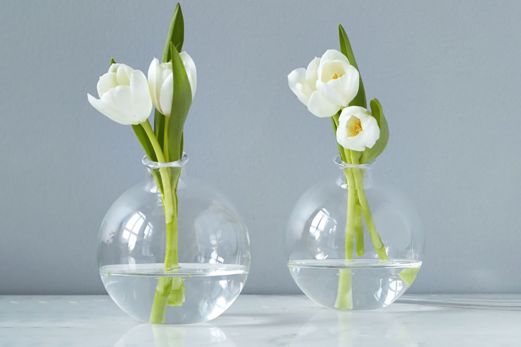 Glass Sphere Bud Vase, Clear
