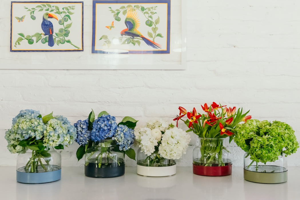3-in-1 Glass Bloom Vase, Vineyard Color Set