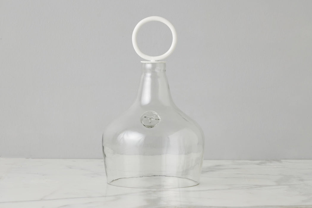 Glass Cloche Food Cover, White Ring Handle, Small