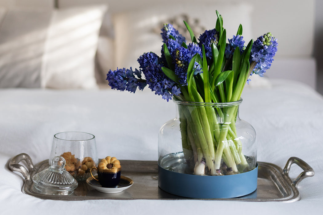 Bistro Glass Biscuit Jar