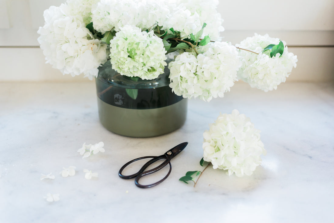 Step Into Spring Virtual Webinar