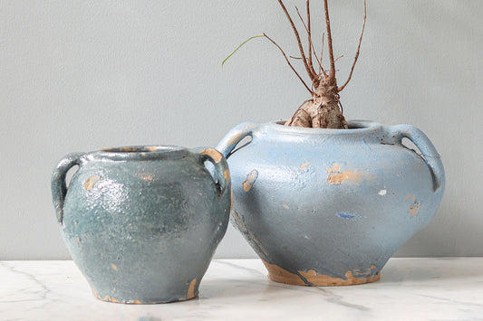 Vintage Inspired Confit Garden Pot, Large, Blue/Green