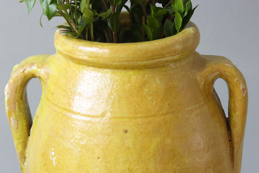 Found Yellow Amphora Pot, Assorted