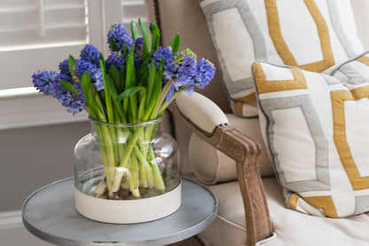 3-in-1 Glass Bloom Vase, Maritime Color Set