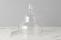 Glass Teardrop Cloche, Large