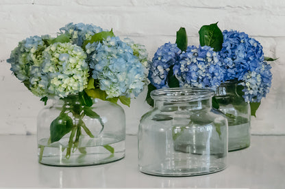 Clear Bloom Flower Vase