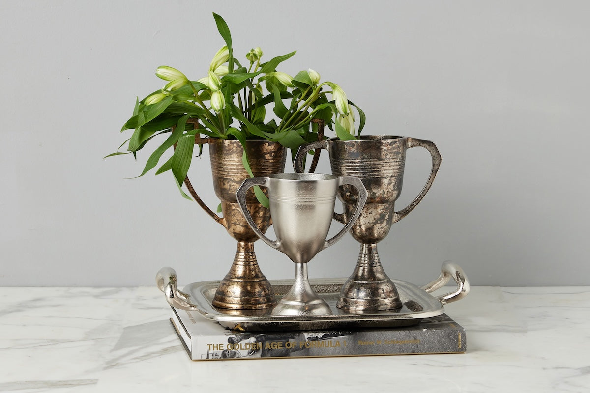 Vintage Trophy Cup, Small, Silver