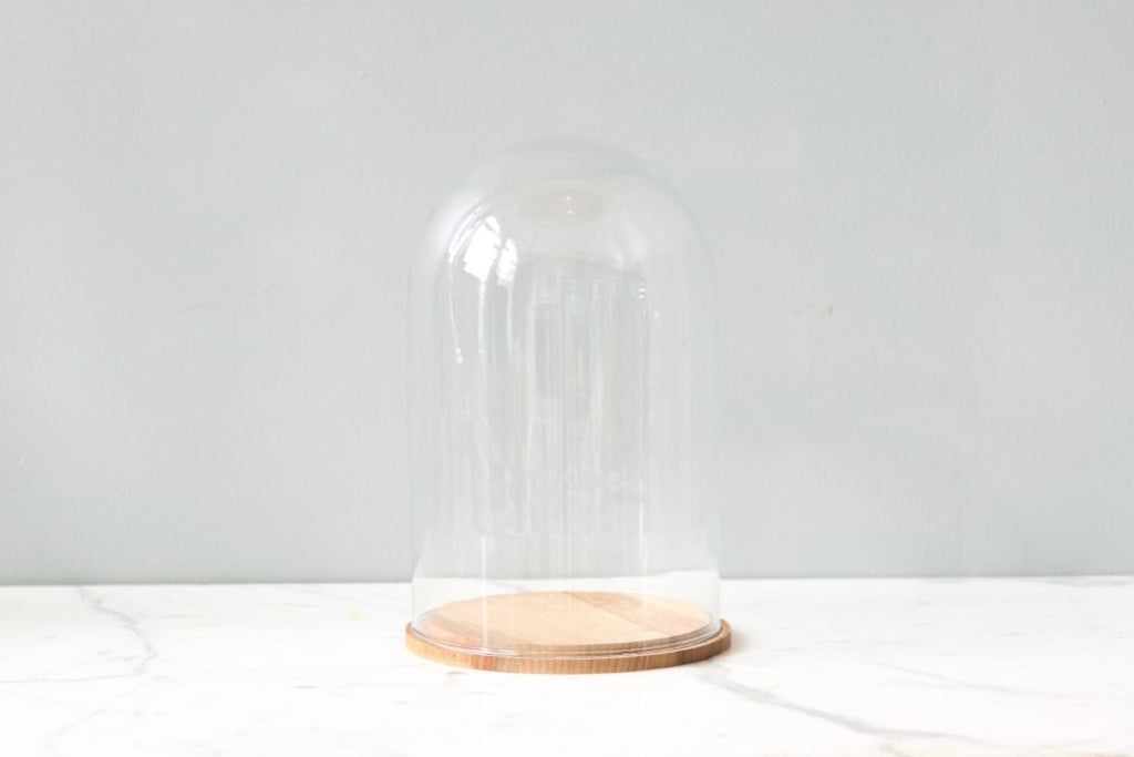 https://wholesale.etuhome.com/cdn/shop/files/GEY140LN9-etuhome-Glass-Bell-Jar-with-Wood-Base-Tall-1_1024x1024.jpg?v=1686602655