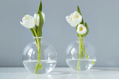Glass Sphere Bud Vase, Clear