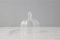 Glass Quatrefoil Dome