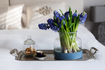 3-in-1 Glass Bloom Vase, Maritime Color Set