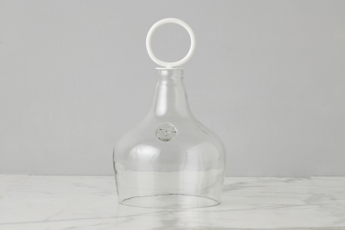 Glass Cloche Food Cover, White Ring Handle, Small