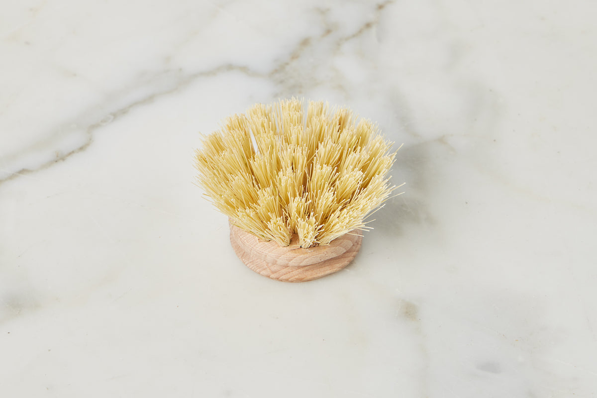 Euro Dish Brush Replacement Head