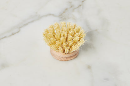 Euro Dish Brush Replacement Head