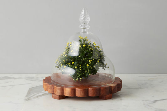 Glass Teardrop Cloche, Large