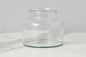 Clear Bloom Flower Vase