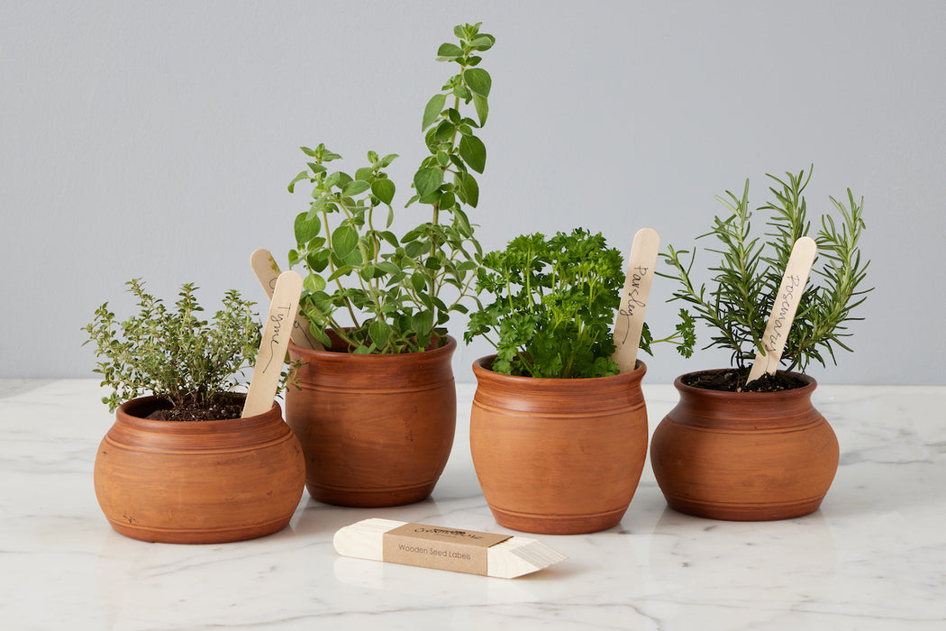 Limited Edition Terracotta Planter, Small
